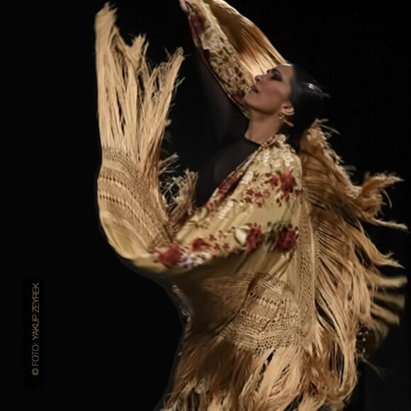URSULA MORENO. Espectáculo flamenco